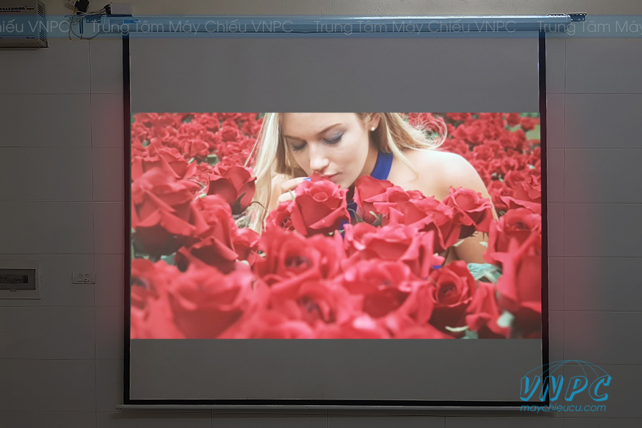 Máy chiếu cũ Optoma HD25